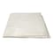 Thermwell Products Frost King 9 ft. W X 12 ft. L X 0.3 mil Plastic Drop Cloth 1 pk P300 - alternate 2
